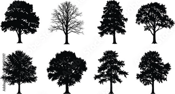 Fototapeta Silhouette collection of deciduous and oak trees, black forest illustration, nature vector elements for outdoor design and landscape artwork