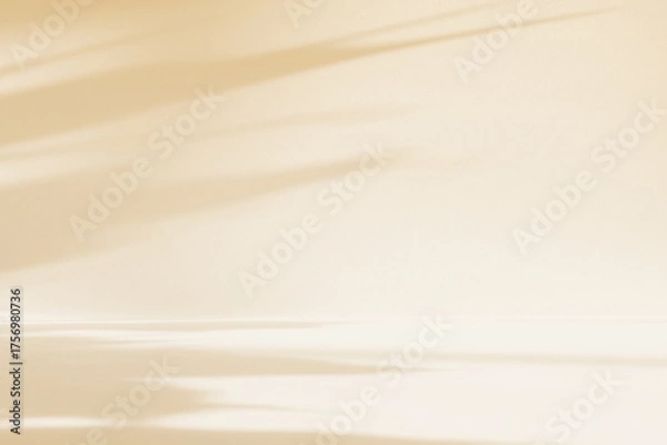 Obraz Abstract beige color gradient studio background for product presentation. Empty room with shadows of flowers and plant leaves. 3d ivory room with copy space. Summer concept. Blurred backdrop