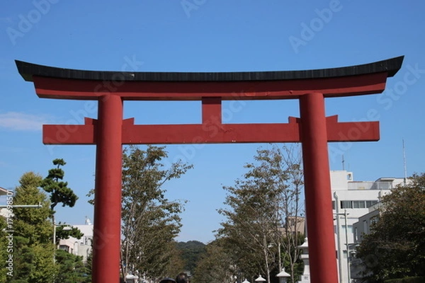 Fototapeta 神社の鳥居