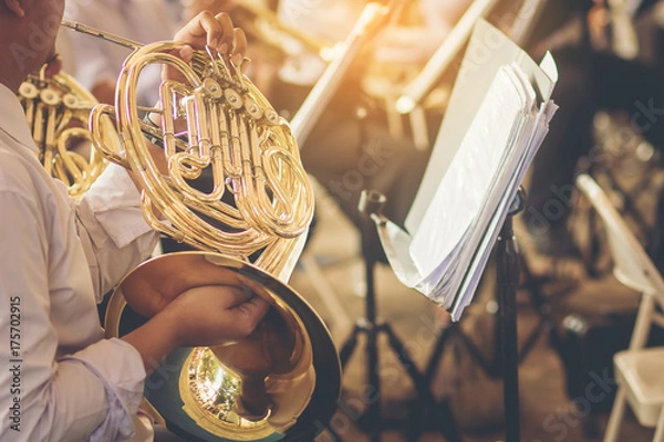 Obraz muzycy grający na waltorni podczas występów w zespole muzycznym.
