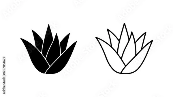 Fototapeta Agave plant outline with transparent background