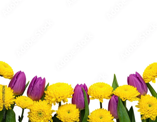 Fototapeta Colorful blossoms arranged at the bottom against a black background for a vibrant floral design