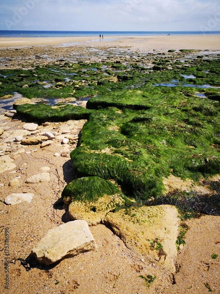 Fototapeta Lion-sur-Mer