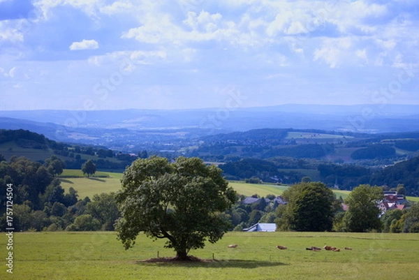Obraz landschaft - Rhön