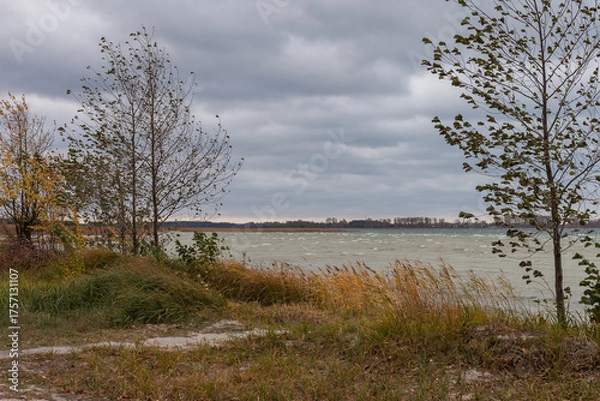 Obraz Lake in windy and cloudy weather. Autumn