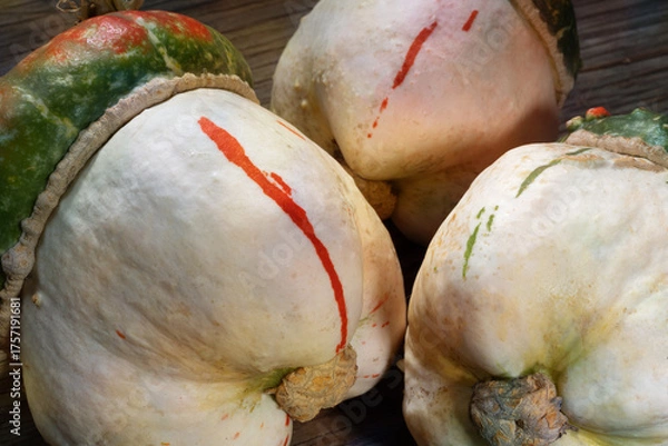 Fototapeta Three decorative pumpkins on a wooden table. A decorative pumpkin of the "Turkish Turban" variety. A mushroom-shaped pumpkin with a red cap.