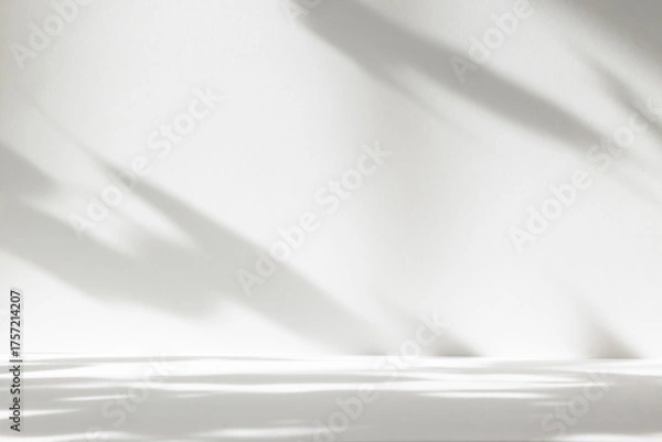 Fototapeta Abstract white color studio background for product presentation. Empty room with shadows of window and flowers and plant leaves . 3d grey room with copy space. Summer concept. Blurred backdrop.