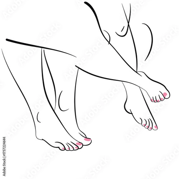 Fototapeta Minimalist line drawing vector illustration of intertwined bare feet with painted toenails scalable eps icon silhouette vector illustration white background