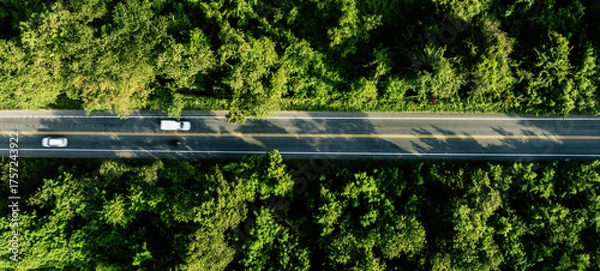 Fototapeta Forest road ,Top view of road in the middle of the forest curve construction up to mountain, panoramic view of Rainforest ecosystem elevated road that surrounds natural forest.	
