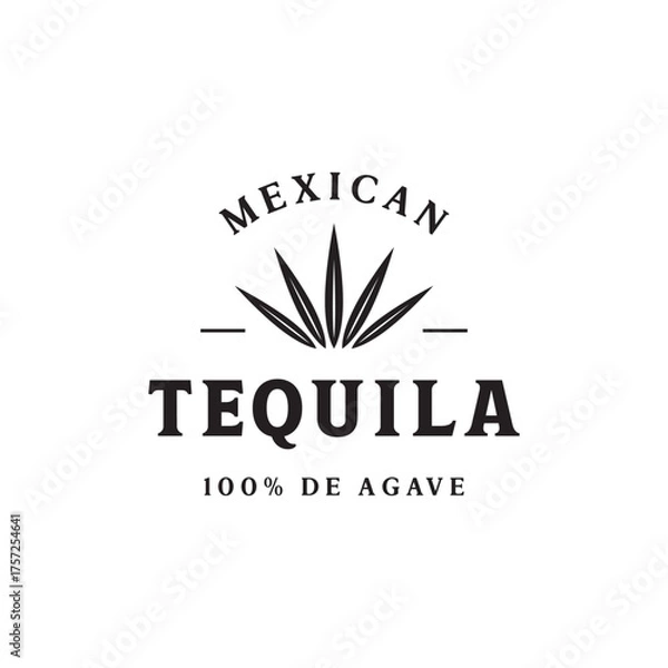Fototapeta Vintage mexican agave plant logo template design for traditional tequila drink.
