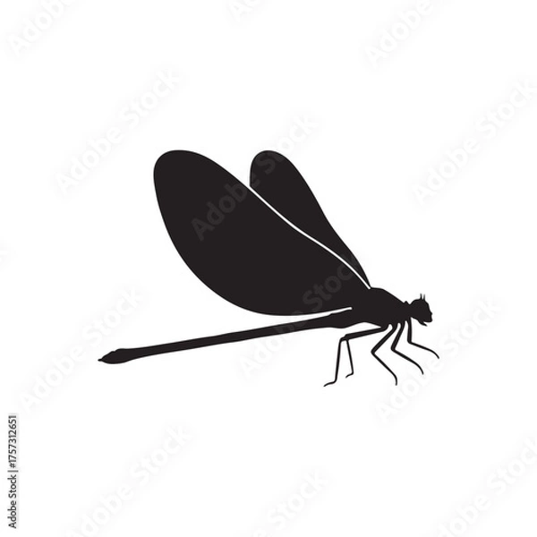 Obraz Damselfly silhouette vector flat illustration design