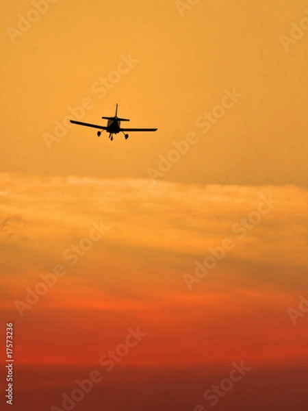 Obraz small landing plane