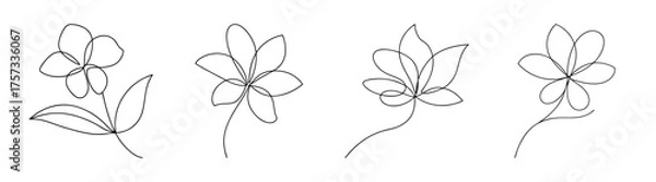Obraz Delicate hand drawn jasmine flower line art collection set of four elegant botanical sketches