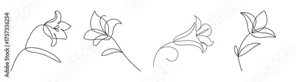 Obraz Four delicate line drawings of angel's trumpet flowers in various poses captured in sketch style