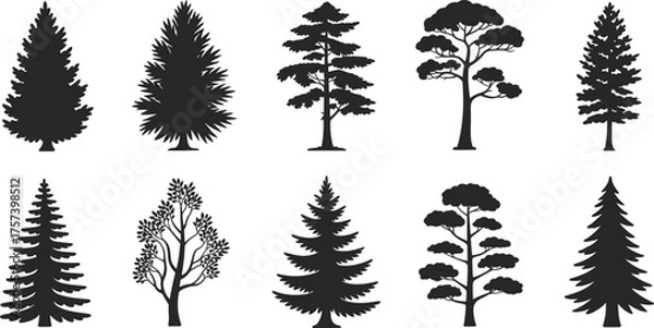 Fototapeta Collection of black silhouette tree illustrations including pine and deciduous species, detailed forest nature vector set for design and decoration