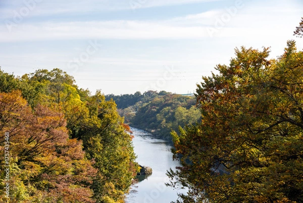 Fototapeta 秋の紅葉に包まれた群馬県を流れる渡良瀬川の美しい流れ