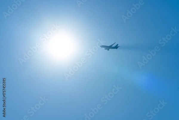 Obraz 逆光の飛行機