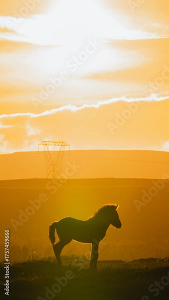 Obraz Icelandic landscapes