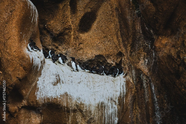 Obraz Icelandic landscapes