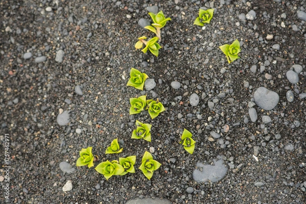 Obraz Icelandic landscapes