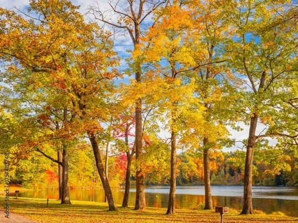 Obraz Haviland Cove Hudson River Glens Falls New York in Fall