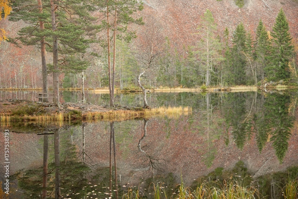 Fototapeta lake in autumn