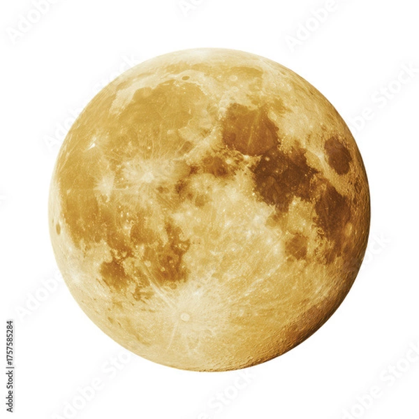 Obraz Full golden moon