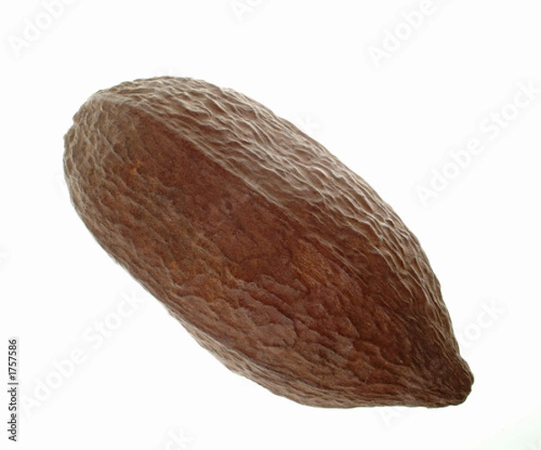 Obraz kakaofrucht