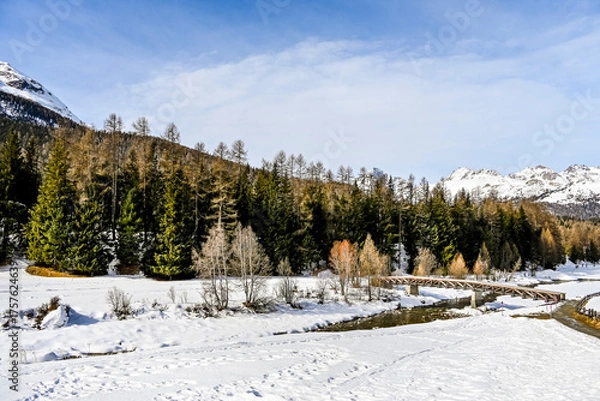 Fototapeta Pontresina, Berninabach, Berninapass, Val Bernina, Winter, Wintersport, Wanderweg, Holzbrücke, Langlauf, Langlaufloipe, Oberengadin, Graubünden, Alpen, Schweiz