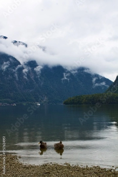 Obraz lake and mountains