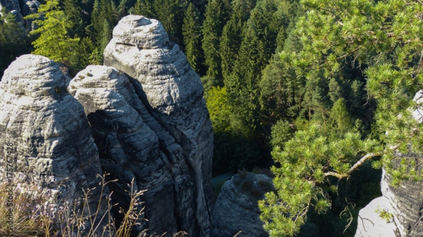Obraz sächsische Schweiz