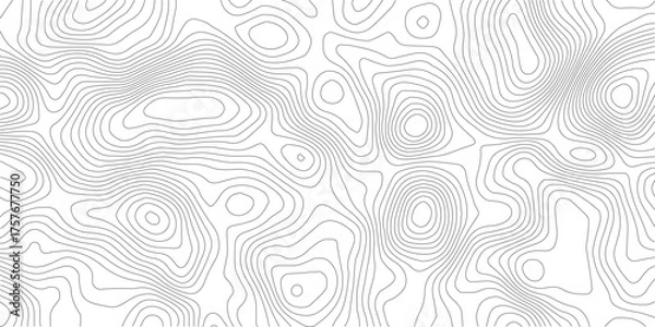 Obraz "Sophisticated and Modern Transparent PNG Topographic Map with Flowing Wavy Line Patterns Set Against a Crisp White Background, Perfect for Minimalist and Contemporary Design Projects.
