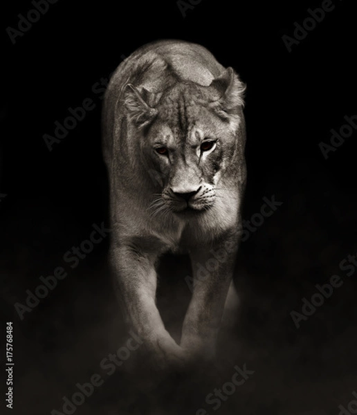 Obraz Marcher dans le noir