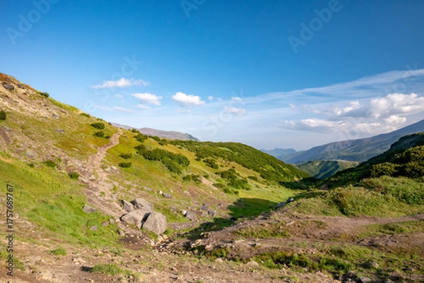 Obraz Scenic mountain landscape with vibrant greenery, rocky pathway leading through lush hills under clear blue sky, capturing natural beauty and tranquility in a serene environment
