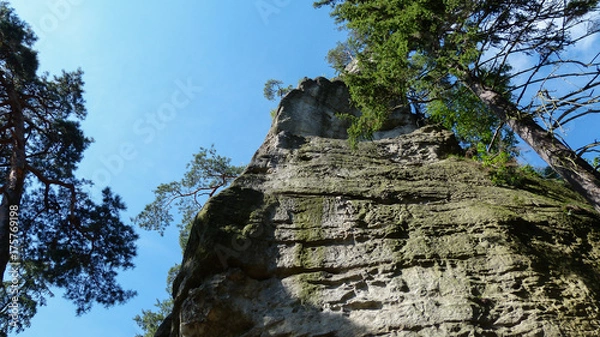 Obraz sächsische Schweiz