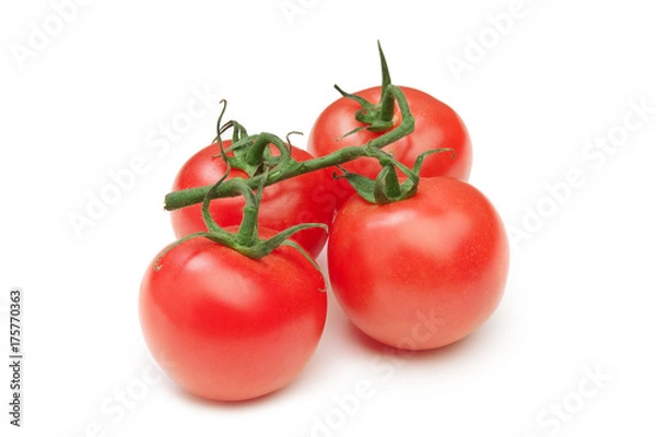 Fototapeta Tomato isolated