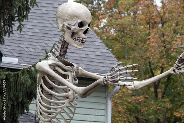 Obraz Skeleton models at Halloween outdoors.