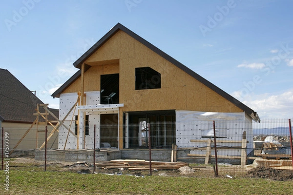 Obraz Metallic Frame House