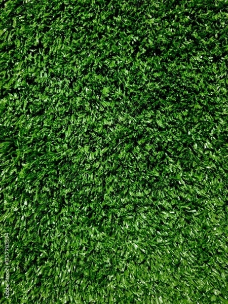 Fototapeta Close-up texture of short artificial grass showing detailed fibers and realistic green color