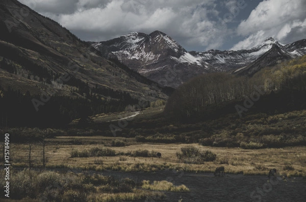 Fototapeta Mountains
