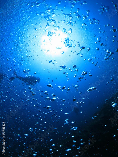 Obraz スキューバダイビング　海底から見上げたダイバーと太陽がある風景