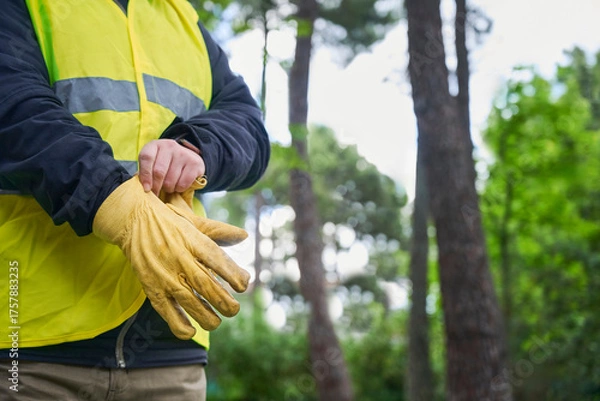 Fototapeta Unrecognizable woman wearing work clothes and a reflective vest adjusts her leather gloves before continuing to work cutting trees in the forest