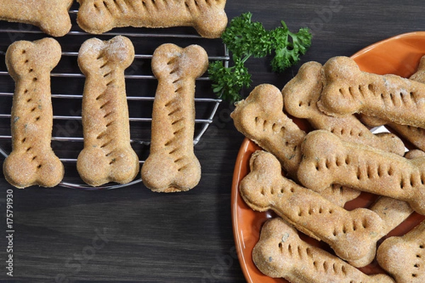 Obraz Domowe zdrowe ciasteczka z kości dyni psa