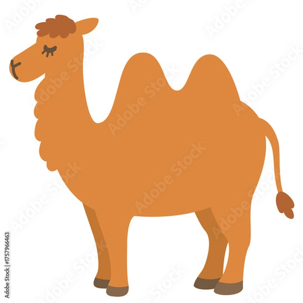 Obraz ラクダ　フタコブラクダ　砂丘