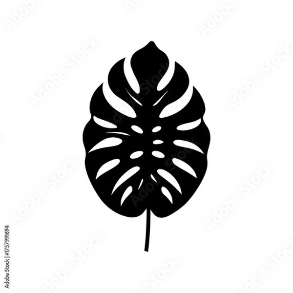 Fototapeta Vector art of monstera leaf silhouette, a tropical design element