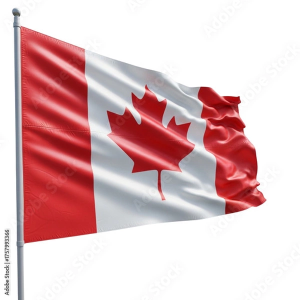 Obraz The national flag of canada, a red maple leaf on a white and red background, isolated on transparent background