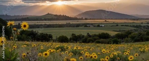 Obraz sunset over the river
