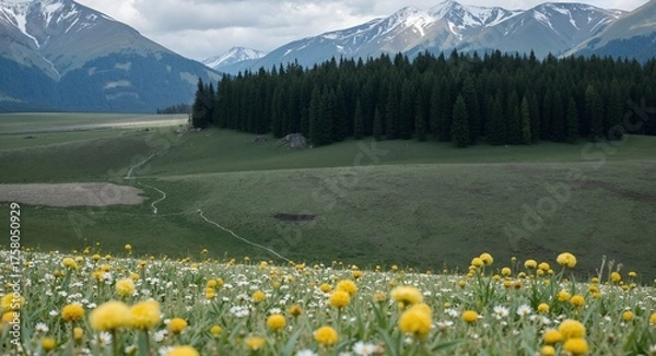 Obraz alpine meadow with wildflowers