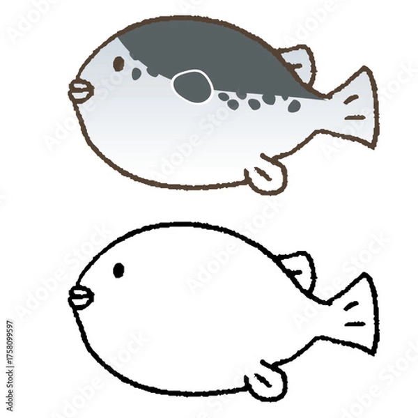 Obraz 手描きのトラフグ