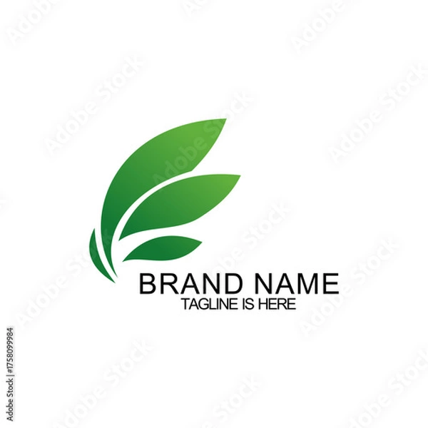 Obraz Abstract logo design Vector logo template